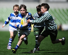 Willow Park in action against Greystones 23/5/2015