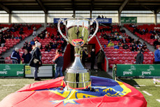 A view of the trophy on display before the game 26/3/2023