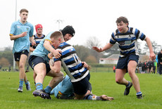 Fearghal Mac Cearra scores a try 10/3/2024