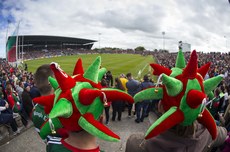 Mayo supporters in attendance at the match 13/5/2018