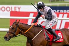 Jack Kennedy celebrates on Teahupoo as they win The Ladbrokes Champion Stayers Hurdle 30/4/2024