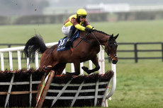 Paul Townend onboard Olympic Man on his way to winning the race 10/3/2024