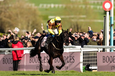 Paul Townend onboard Galopin Des Champs comes home to win 15/3/2024
