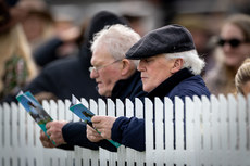 Racegoers study the form at Naas Racecourse 24/3/2024