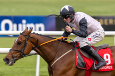 Jack Kennedy celebrates on Teahupoo as they win The Ladbrokes Champion Stayers Hurdle 30/4/2024