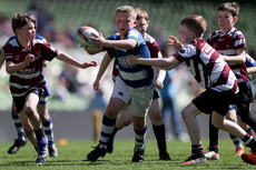 A view of the action at the Aviva Minis National Rugby Festival 21/4/2024
