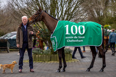 Willie Mullins with Jasmin De Vaux who won the Weatherbys Champion Bumper and earned him his 100th Cheltenham Festival winner 19/3/2024
