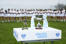 A view of the Electric Ireland trophy 28/4/2024