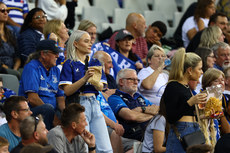 Leinster fans in the crowd 27/4/2024