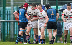 David Cogan is congratulated by Joe O’Leary after scoring a try 28/4/2024
