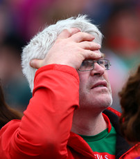 A Mayo supporter looks on 11/6/2017