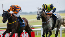 Jamie Powell onboard Golden Temple comes home to win 28/6/2024