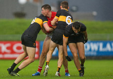 Barry O'Sullivan with Mark O'Shea and Gavin White 27/10/2024