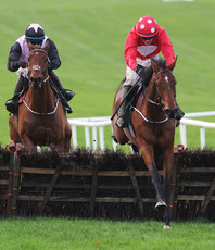 Danny Mullins on Home by the Lee wins 16/11/2024