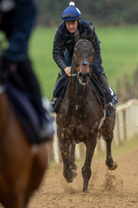 Bobby McNally on Farren Glory 18/11/2024