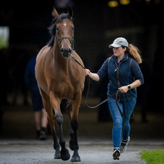 Grace Baker waits to show Lot. 360 on a viewing day 25/6/2024