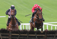 Danny Mullins on Home by the Lee wins 16/11/2024