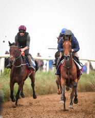 Betty Dutton ridden by Luciano, Harvey’s Quay ridden by Mark McDonagh and St Faz ridden by Philip Enright 16/9/2023 