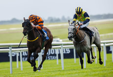 Jamie Powell onboard Golden Temple comes home to win 28/6/2024