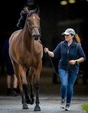 Grace Baker waits to show Lot. 360 on a viewing day 25/6/2024