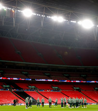 Ireland inspect the pitch 16/11/2024