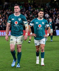 James Ryan and Conor Murray dejected after the match 8/11/2024