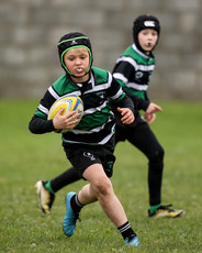 A view of the action at Dungarvan RFC 13/10/2024