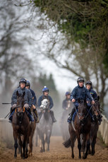 Sam Ewing on Romeo Coolio and Jack Kennedy on Brighterdaysahead lead a string of horses as they cool down on the gallops 18/11/2024