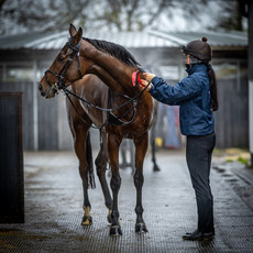 Helen Peppard with Kala Conti 18/11/2024