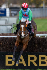 Miss Tempo, ridden by Mike O’Connor comes home to win 10/11/2024