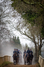 Sam Ewing on Romeo Coolio and Jack Kennedy on Brighterdaysahead lead a string of horses as they cool down on the gallops 18/11/2024