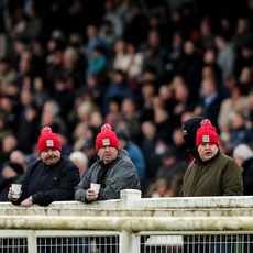 Racegoers look on 17/11/2024