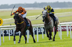 Jamie Powell onboard Golden Temple comes home to win 28/6/2024