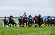 Ronan Whelan onboard Lord Church comes home to win 28/6/2024