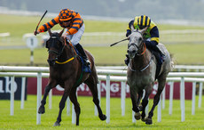 Jamie Powell onboard Golden Temple comes home to win 28/6/2024