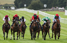 Chris Hayes (green silks) onboard Back Down Under comes home to win 28/6/2024