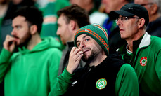 Ireland fans look on 17/11/2024