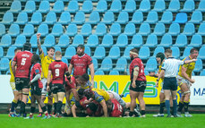 Zebre players celebrate a turnover 19/10/2024