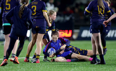 Half-time mini rugby between Ballinasloe RFC and Westport RFC 26/10/2024