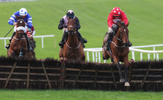 Danny Mullins on Home by the Lee wins 16/11/2024