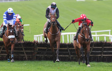 Danny Mullins on Home by the Lee wins 16/11/2024