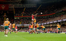 Christ Tshiunza wins a lineout ball 17/11/2024