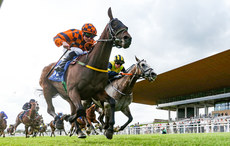 Jamie Powell onboard Golden Temple comes home to win 28/6/2024