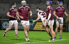 Eamon Cassidy celebrates after he scored a goal 16/11/2024