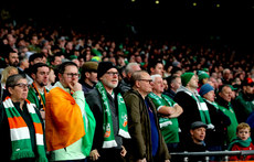 Ireland fans look on 17/11/2024