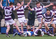 Clongowes’ players react after William Kelly tackles Bernard Ibirogba in the air 8/2/2024