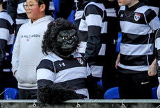 The Belvedere College mascot before the game 18/2/2022