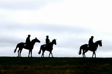 St Faz ridden by Philip Enright and Harvey’s Quay ridden by Mark McDonagh and Betty Dutton ridden by Luciano 16/9/2023 