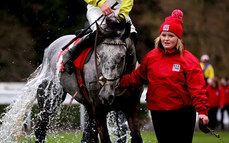 Espanito Bello cools off in the parade ring after winning 12/3/2023