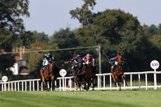 A view of riders in the Royal Bahrain Irish Champion Stakes 9/9/2023